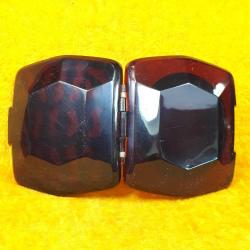 VINTAGE BAĞA GÖRÜNÜMLÜ AKRİLİK , PİLLİ IŞIKLI PUDRİYER HONG KONG