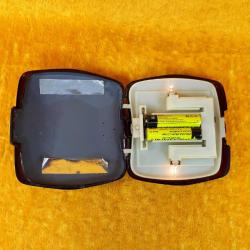 VINTAGE BAĞA GÖRÜNÜMLÜ AKRİLİK , PİLLİ IŞIKLI PUDRİYER HONG KONG