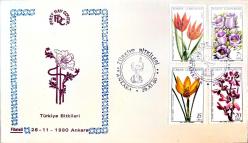 1980 TÜRKİYE BİTKİLERİ