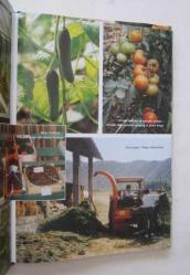 Artvin 2000: Türkiye'nin Kuzeydoğu Ucundaki Cennet / Artvin 2000: The Paradise at the Far end of the Northeast Turkey