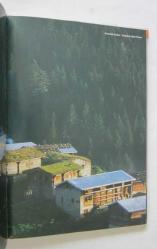 Rize