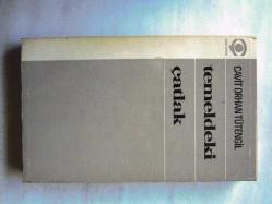 Temeldeki Çatlak / Denemeler - Makaleler