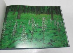 Pejzaz Polski / Polish Landscape - Polnische Landschaft