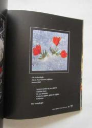 Ankara Çiğdemi / Crocus Ancyrensis