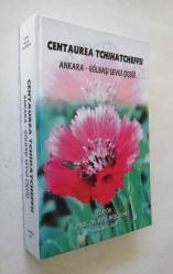 Ankara - Gölbaşı Sevgi Çiçeği, Centaurea Tchihatcheffii