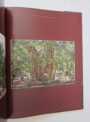 Fotoğraflarla Amasya Güzellemesi