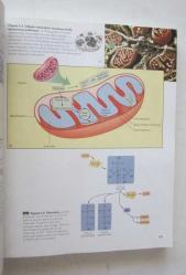 Biology