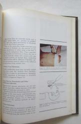 Scope Monograph on Anaerobic Infections