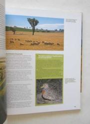 Farmland Birds Across the World