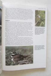 The Birds Around Us / A Full-Color Guide to attracting, Observing, Identifying, and Photographic Birds