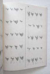 1831 Tarihli Nüfus Sayımına Göre Düzce