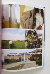 TRC3 Düzey 2 Bölgesi Mevcut Durum Analizi - Bölge Planı (2011-2013) / Mardin - Batman - Siirt - Şırnak