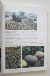 Her Yönüyle Iğdır