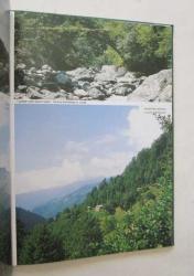 Artvin
