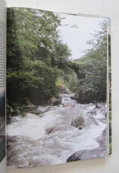 Giresun Kent Kültürü