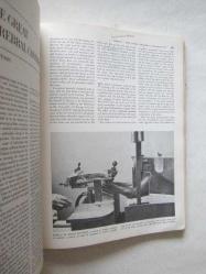 Psychobiology / The Biological Bases of Behaviour