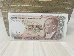 7. Emisyon 5000 Türk Lirası - I51 Çil
