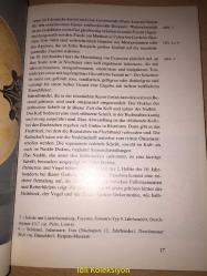 ISLAMİSCHE KERAMİK - ADALBERT KLEİN - HOLLE VERLAG - ALMANCA KİTAP (İSLAM SERAMİKLERİ)
