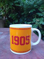GALATASARAY SK LİSANSLI KUPA (2.EL)