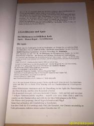 DİE CHORA KİRCHE - DAS BİLDPROGRAMM DES PAREKKLESİON - ALMANCA (KARİYE KİLİSESİ - PARKLESION'UN GÖRÜNTÜ PROGRAMI)