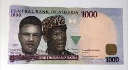 Nijerya 1000 Naira 2021 Çil altı