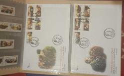 TC 2006 PTT Atatürk'ün Doğumunun 125 yılı 2 adet ilkğün Zarfı ve 10 adet pul özel 4 sayfa portföyünde