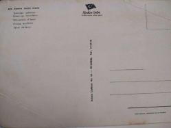 ŞEHİR KARTPOSTALI-TÜRKİYE/EGENİN İNCİSİ İZMİR KARŞIYAKA KONAK EŞREFPAŞA VE BASMANE GÜNDÜZ GÖRÜNTÜSÜ,ARKASINA YAZILMAMIŞ,RENKLİ, 11 X 15 CM EBADINDA - 1950'LER, 1960'LAR, 1970'LER, 1980'LER