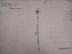 ŞEHİR KARTPOSTALI-TÜRKİYE/İSTANBUL SÜLEYMANİYE CAMİİ GENEL GÜNDÜZ GÖRÜNTÜSÜ,ARKASINA YAZILMAMIŞ,RENKLİ, 11 X 15 CM EBADINDA - 1950'LER, 1960'LAR, 1970'LER, 1980'LER