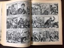 YENİ TOMMİKS, SAYI:6 - AĞUSTOS 2005 (VIRNA'NIN SIRRI) ÇİZGİ ROMAN - 9 YENİ TÜRK LİRALIK SERİ - SAYFA SAYISI: 202 - DEMİRBAŞ YAYINCILIK