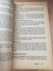 GUİNNESS BOOK OF WORLD RECORDS - NORRİS MCWHİRTER & ROSS MCWHİRTER - Bantam Books - İNGİLİZCE KİTAP (GUİNNESS DÜNYA REKORLAR KİTABI)