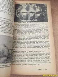 GUİNNESS BOOK OF WORLD RECORDS - NORRİS MCWHİRTER & ROSS MCWHİRTER - Bantam Books - İNGİLİZCE KİTAP (GUİNNESS DÜNYA REKORLAR KİTABI)