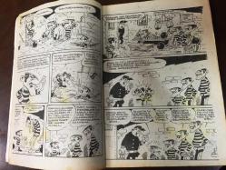 RED KİT, YENİ SERİ 29 - DALTONLAR MEKSİKADA, ÇİZGİ ROMAN - 30.000 LİRALIK SERİ - SAYFA SAYISI: 96