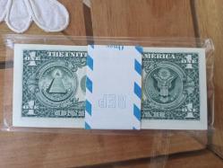 Amerika 1 dollar 2001 çil 100lü deste (replacement)