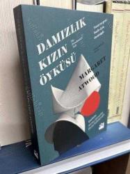 DAMIZLIK KIZIN ÖYKÜSÜ