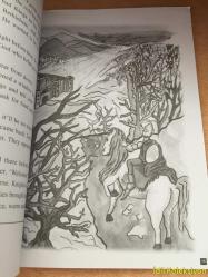 Gawain and The Green Knight - Liam G. Spencer - Macenta Publishing - Level 2 - İngilizce Kitap (Gawain ve Yeşil Şövalye)