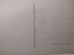 SANAT KARTPOSTALI-BEMBEYAZ ELBİSE İÇİNDE PEMBE GÜLLER TUTAN KADIN RESMİ,ARKASINA YAZILMAMIŞ,RENKLİ