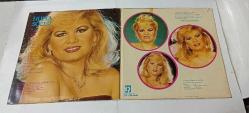 HÜLYA SÖZER * BİR ÇAPKIN ELİNDE * 1982 DÖNEM BASKI * 33LÜK PLAK