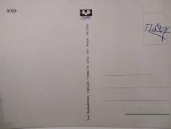 SANAT KARTPOSTALI-YEMYEŞİL YAPRAKLI AĞAÇLAR GÖL VE KÖY RESMİ,ARKASINA YAZILMIŞ,RENKLİ,11 X 15 CM EBADINDA