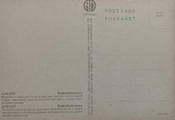 ŞEHİR KARTPOSTALI-BOPHUTHATSWANA/SUN CITY GÖL OTEL VE HAVUZ GÜNDÜZ GÖRÜNTÜSÜ,ARKASINA YAZILMAMIŞ,RENKLİ, 11 X 15 CM EBADINDA - 1950'LER, 1960'LAR, 1970'LER, 1980'LER