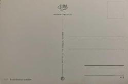 ŞEHİR KARTPOSTALI-İSVİÇRE/LUCERNE ŞAPEL KÖPRÜSÜ GENÈVE ZÜRİH BERN FEDERAL SARAYI CHILLON KALESİ CERVİN DAĞI GÜNDÜZ GÖRÜNTÜSÜ,ARKASINA YAZILMAMIŞ,RENKLİ, 11 X 15 CM EBADINDA - 1950'LER, 1960'LAR, 1970'LER, 1980'LER