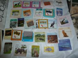 TÜBİTAK BİLİM VE ÇOCUK DERGİSİ EĞİTİCİ KARTLAR 1200 KART+ÜCRETSİZ KARGO