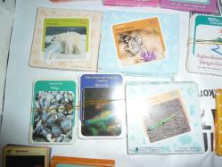 TÜBİTAK BİLİM VE ÇOCUK DERGİSİ EĞİTİCİ KARTLAR 1200 KART+ÜCRETSİZ KARGO