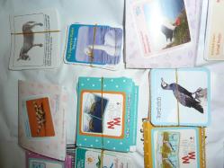 TÜBİTAK BİLİM VE ÇOCUK DERGİSİ EĞİTİCİ KARTLAR 1200 KART+ÜCRETSİZ KARGO