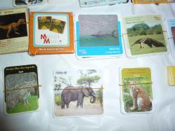 TÜBİTAK BİLİM VE ÇOCUK DERGİSİ EĞİTİCİ KARTLAR 1200 KART+ÜCRETSİZ KARGO