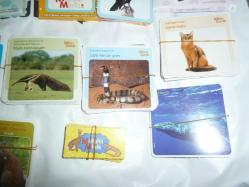 TÜBİTAK BİLİM VE ÇOCUK DERGİSİ EĞİTİCİ KARTLAR 1200 KART+ÜCRETSİZ KARGO