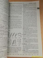 Oxford Wordpower Dictionary - Oxford University Press - İngilizce  (Oxford Kelime Gücü Sözlüğü)