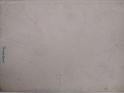 SANAT KARTPOSTALI-YEŞİL YAPRAKLI KIRMIZI LALE RESMİ,KAPAKLI,İÇ KISMINA YAZILMAMIŞ,RENKLİ, 12 X 17 CM EBADINDA