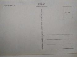 FERDİ TAYFUR KARTPOSTALI,ARKASINA YAZILMAMIŞ,RENKLİ, 11,5 X 16 CM EBADINDA