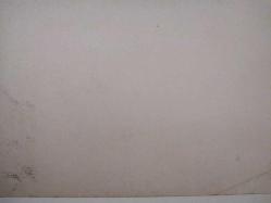 SİBEL CAN KARTPOSTALI,ARKASINA YAZILMAMIŞ,RENKLİ, 11,5 X 16 CM EBADINDA