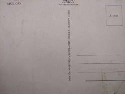 SİBEL CAN KARTPOSTALI,ARKASINA YAZILMAMIŞ,RENKLİ, 11,5 X 16 CM EBADINDA